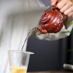 Ấm tử sa báo xuân mai hoa đại hồng bào vòi ngắt nước tốt