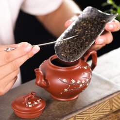 Trải nghiệm thưởng trà với ấm Báo Xuân