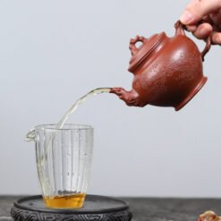 Ấm Tử Sa Báo Xuân Mai Hoa Đại Hồng Bào BX001 thiết kế vòi ấm ngắt nước dễ dàng