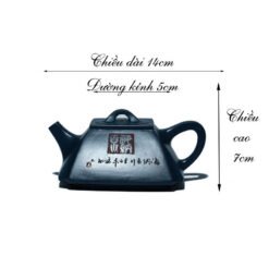 Ấm Tử Sa Tứ Phương Nguyên Khoáng Lục Nê kích thước ấm