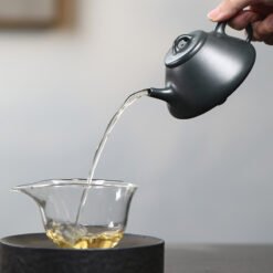 Ấm tử Thạch Biều Hắc Nê Nguyên Khoáng TB030 dung tích 200ml