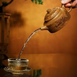 Ấm tử sa dáng Đức Trung DT011 cao cấp dung tích 245ml