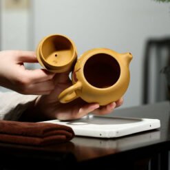 Ấm Tử Sa Đoạn Nê Hoa Mận Trắng Dáng Tây Thi TT011