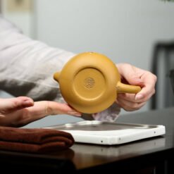 Ấm Tử Sa Đoạn Nê Hoa Mận Trắng Dáng Tây Thi TT011